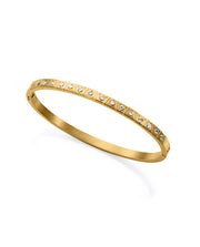 Puls Steel Ip Gold Et Crist Rigide Mme Fn