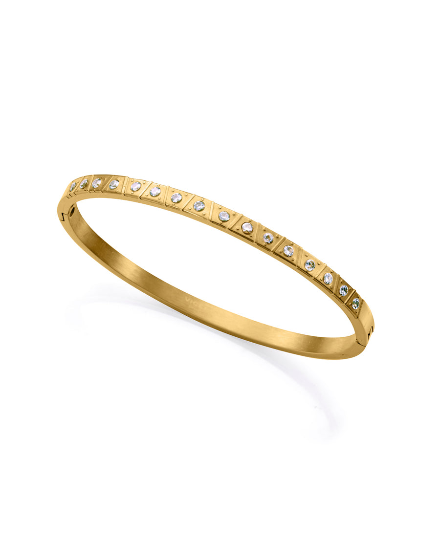 Puls Steel Ip Gold Et Crist Rigide Mme Fn