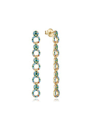 Sterling Silver Earrings With Gold Plating And Co