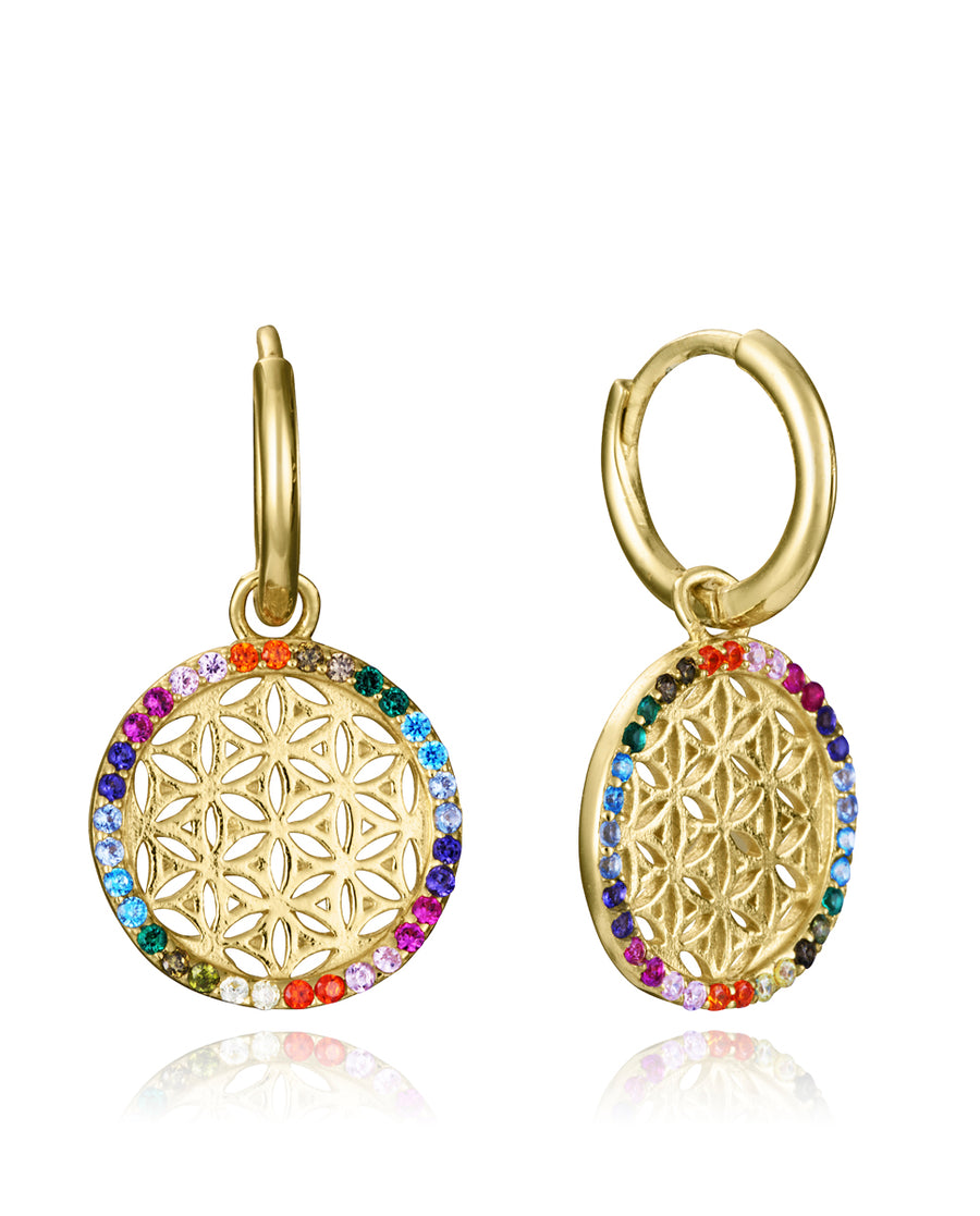 Sterling Silver Earrings With Gold Plating And Co