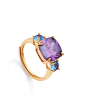 Anillo Plata De Ley Baño Oro Circ Sra Jewels
