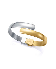 Steel Bangle 2 Tone Ip Gold: Max Diameter 6 Cm La