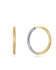 Steel Earrings Ip Gold Hook: Diameter 2,9 Cm Lady