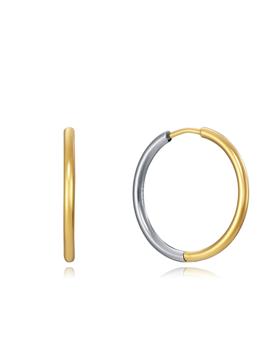 Steel Earrings Ip Gold Hook: Diameter 2,9 Cm Lady