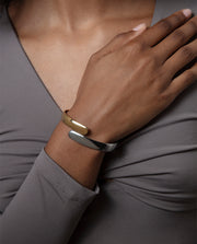 Steel Bangle 2 Tone Ip Gold: Max Diameter 6 Cm La