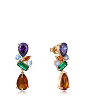 Sterling Silver Earrings With Gold Plating And Co