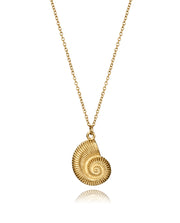 Collar Acero Ip Dorado Caracol Mar Sra Fsn