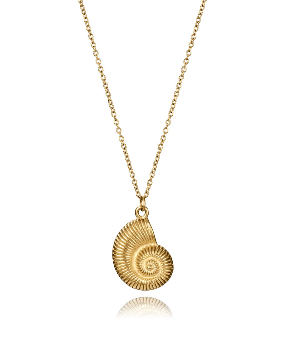 Collar Acero Ip Dorado Caracol Mar Sra Fsn