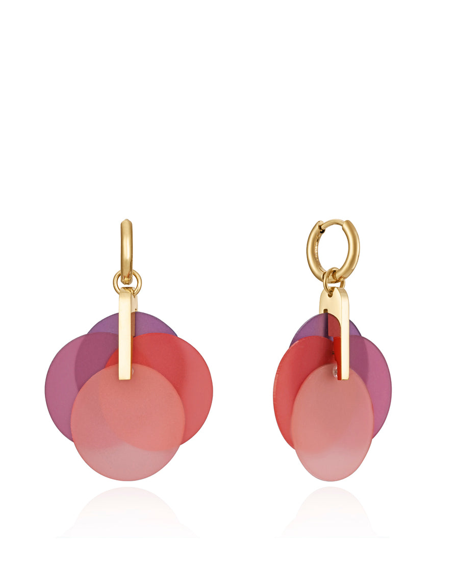 Steel Earrings Ip Gold And Coloured Resin Discs: