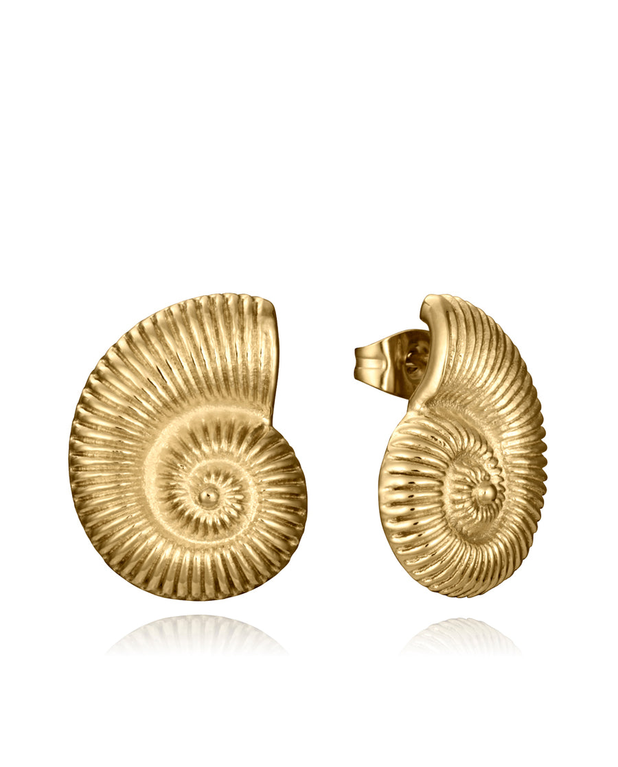 Steel Earrings Ip Gold Shell: Length 1,9 Cm Lady