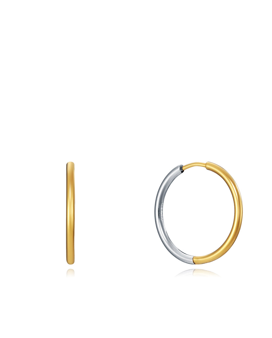 Steel Earrings Ip Gold Hook: Diameter 2,4 Cm Lady