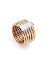 Anillo Acero 3 Tonos Sra Fn
